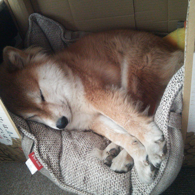 《年度最佳操作盘点：精彩瞬间汇总》，精彩操作集锦